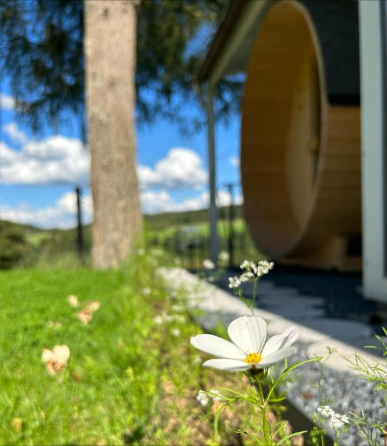 Chalet Panor'Anna St. Vith Exteriér fotografie